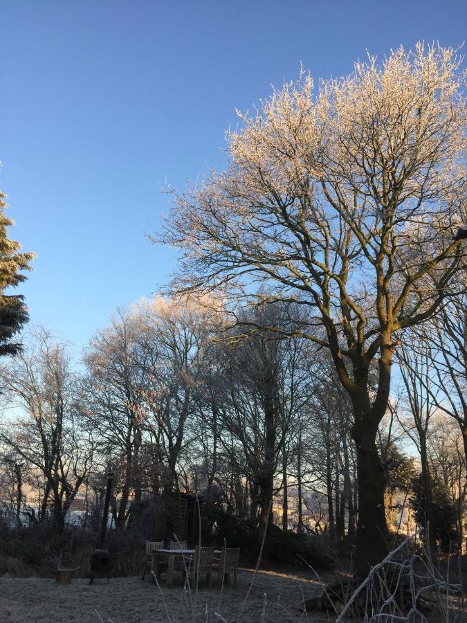 拜登住宿加早餐旅馆 Overasselt 外观 照片