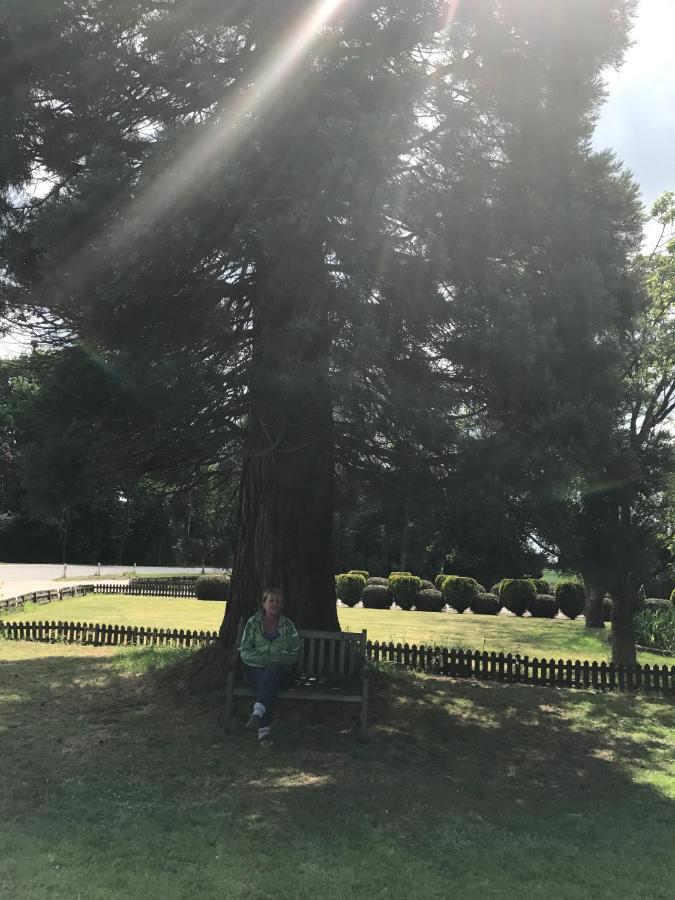 拜登住宿加早餐旅馆 Overasselt 外观 照片